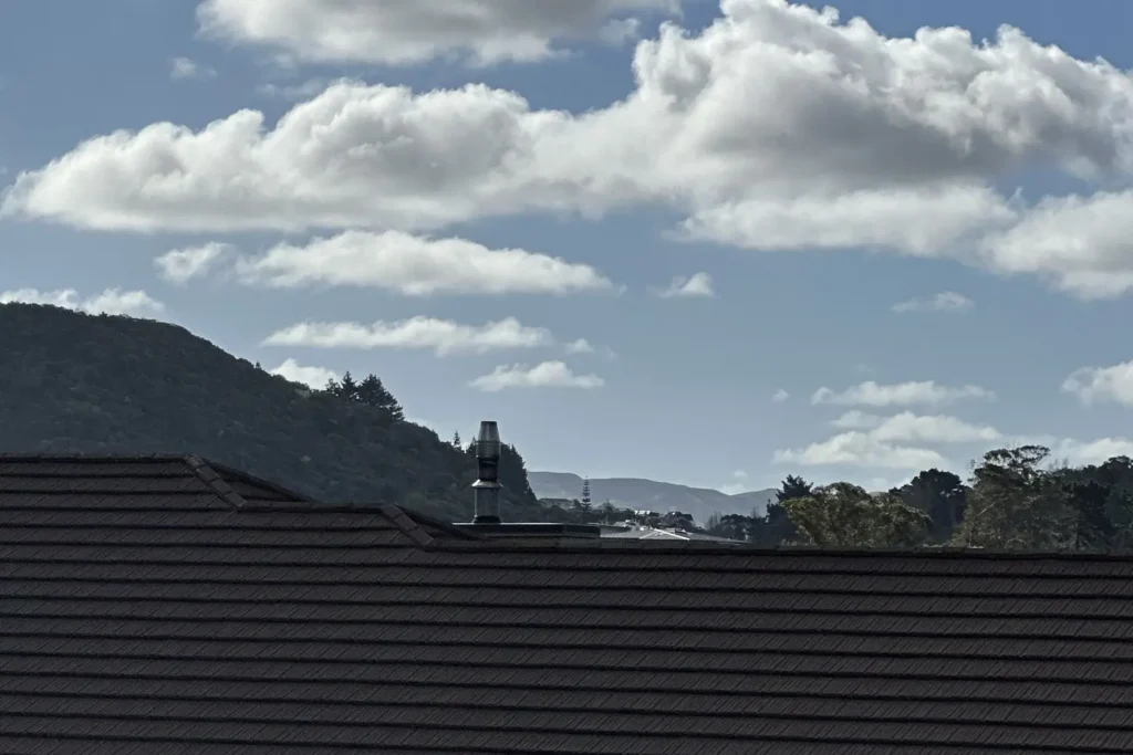 Stainless wood burner flue on a tiled Porirua roof with the hills behind