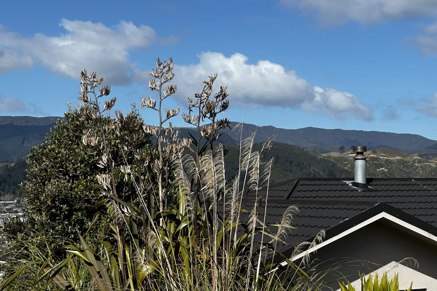 Native flax and toetoe in front of a home with a wood burner flue and the Upper Hutt hills beyond